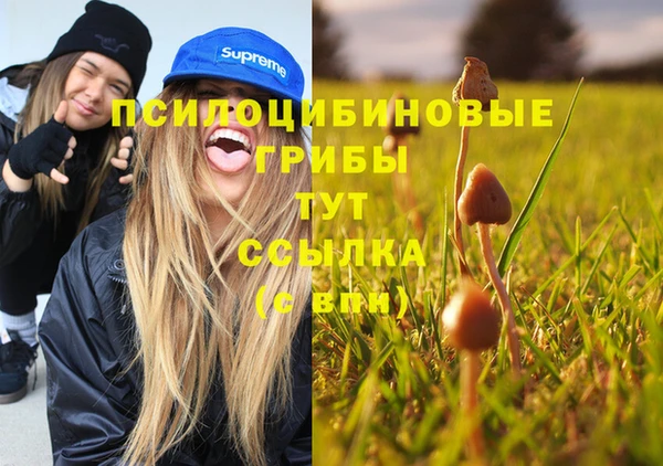 apvp Усинск