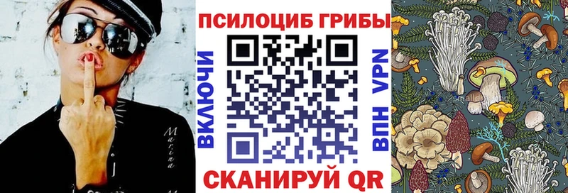 Галлюциногенные грибы Psilocybine cubensis  Купить  Бабаево 